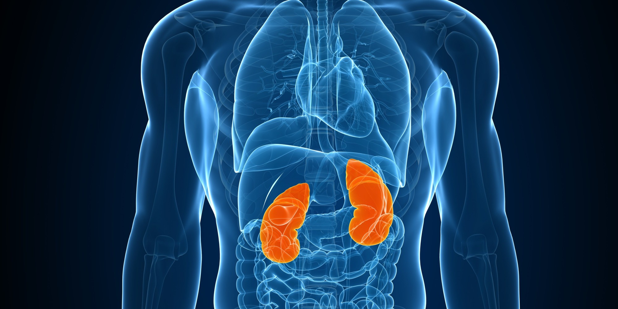 Here are some early warning signs of kidney disease; how to keep a